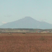 sarobetsu-marsh