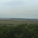 Kushiro Marsh