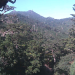 yakushima-mountains